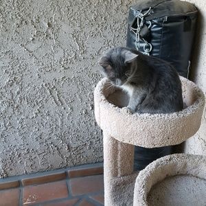 Meet your Posher, Maribel